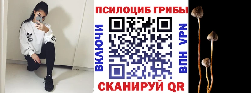 Псилоцибиновые грибы Magic Shrooms  Тосно 