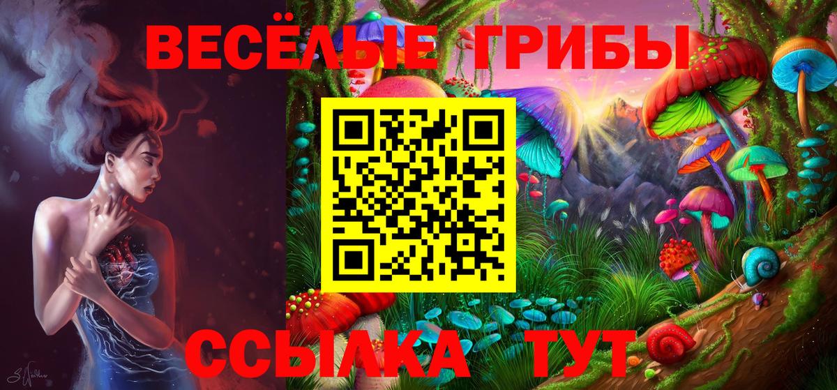 Галлюциногенные грибы мухоморы  Галлюциногенные грибы прущие грибы  Вход с VPN  Тосно 